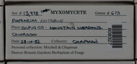 Image Associated With the Occurence